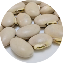ムクナ豆の特性と活用法
